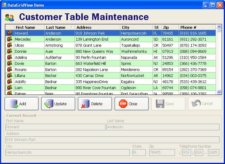 DataGridView Sample Applications